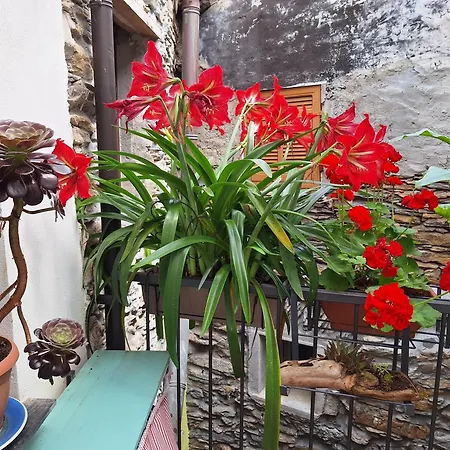 La Casa Delle Meraviglie